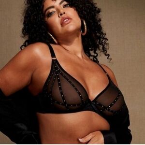 Frederick’s of Hollywood,NWT, Rozlyn Black Sheer Mesh & Stud Bra,34F (3D)